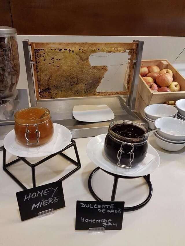 Отель Mercure Bucharest Unirii Бухарест-44